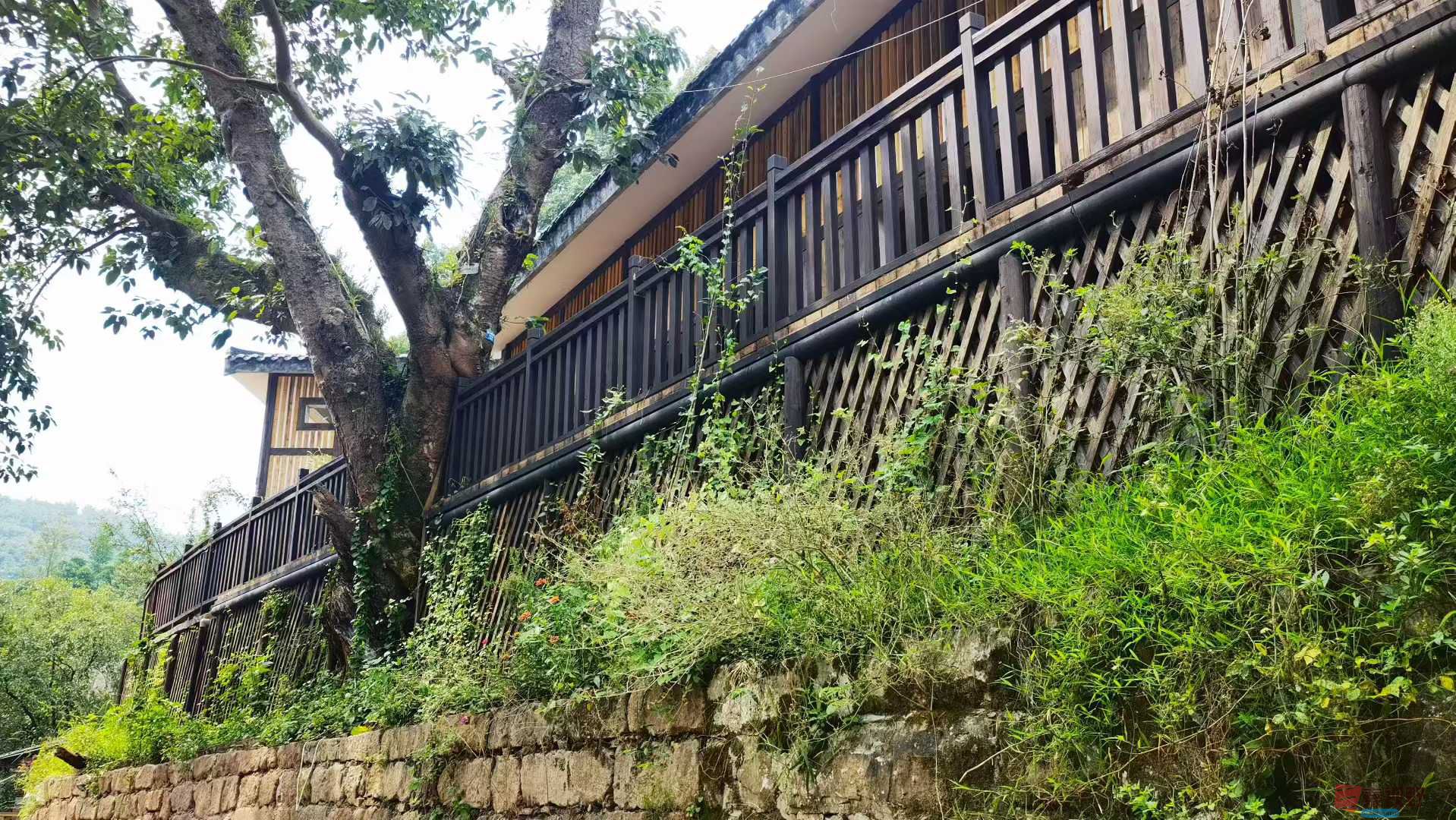 马世国_2025-09-17_161918_055 (6).jpg