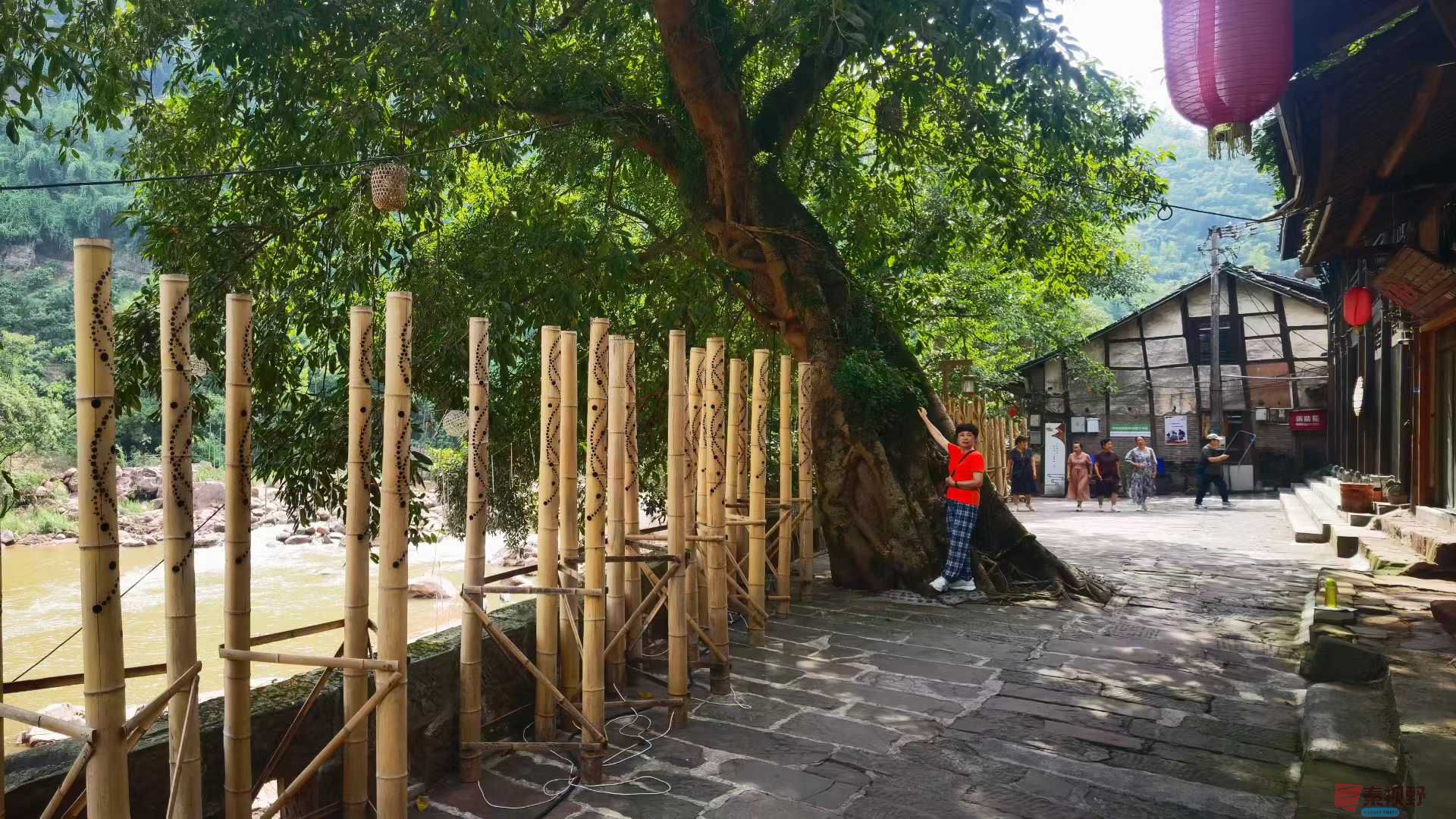 马世国_2025-09-17_161918_055 (5).jpg