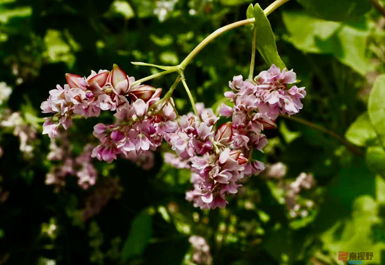 黄风升20250919 (7).jpg