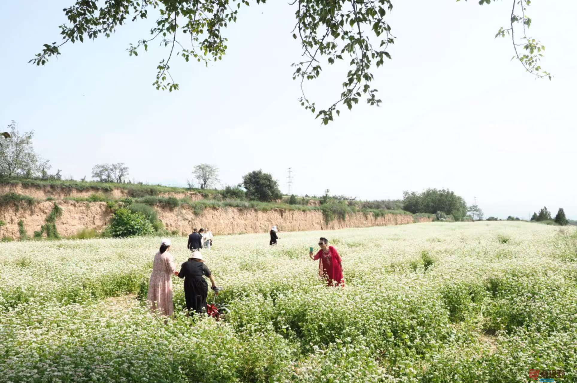 黄风升20250919 (1).jpg