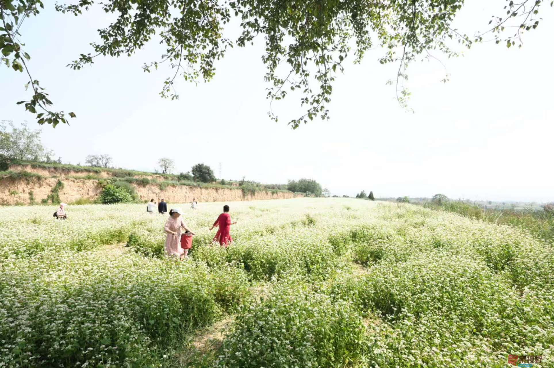 黄风升20250919 (2).jpg