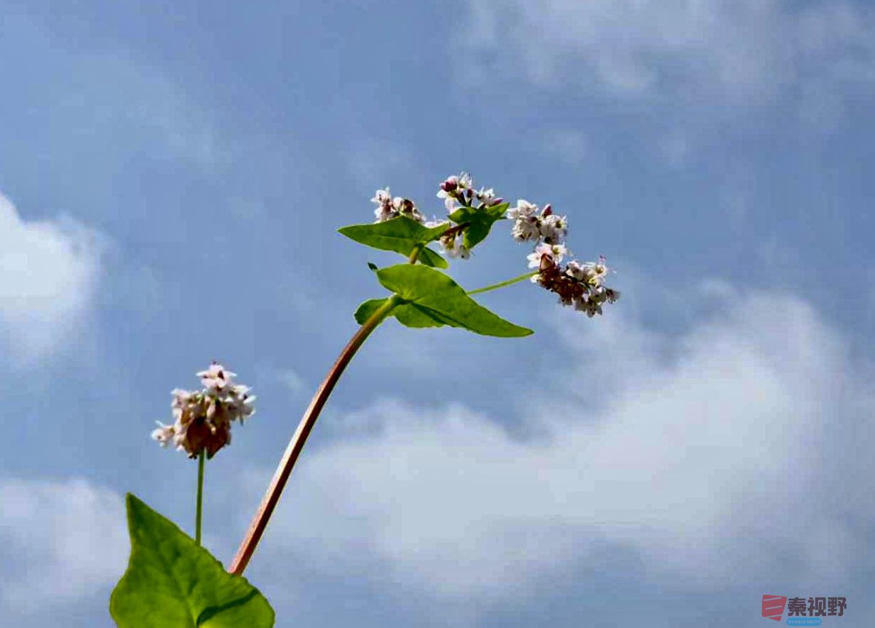 黄风升20250919 (5).jpg