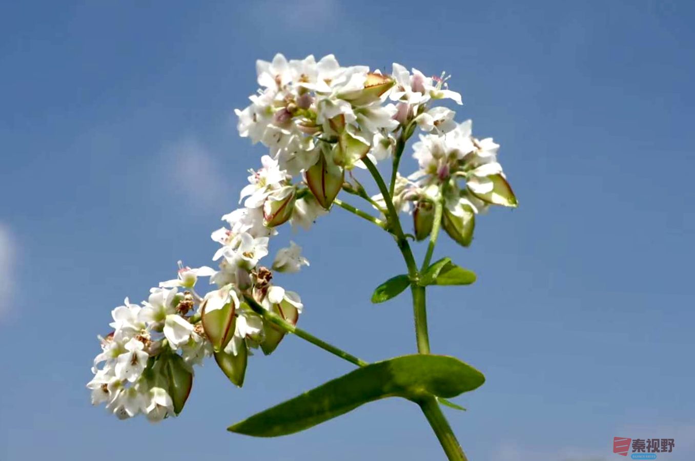 黄风升20250919 (4).jpg