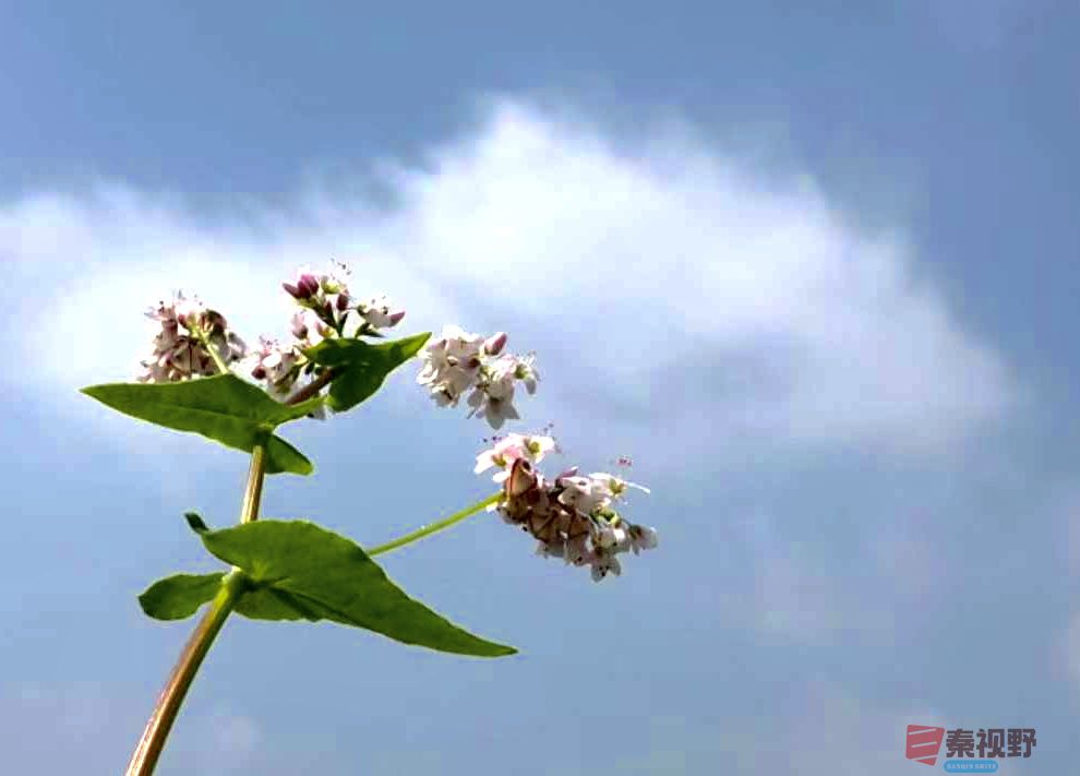 黄风升20250919 (6).jpg