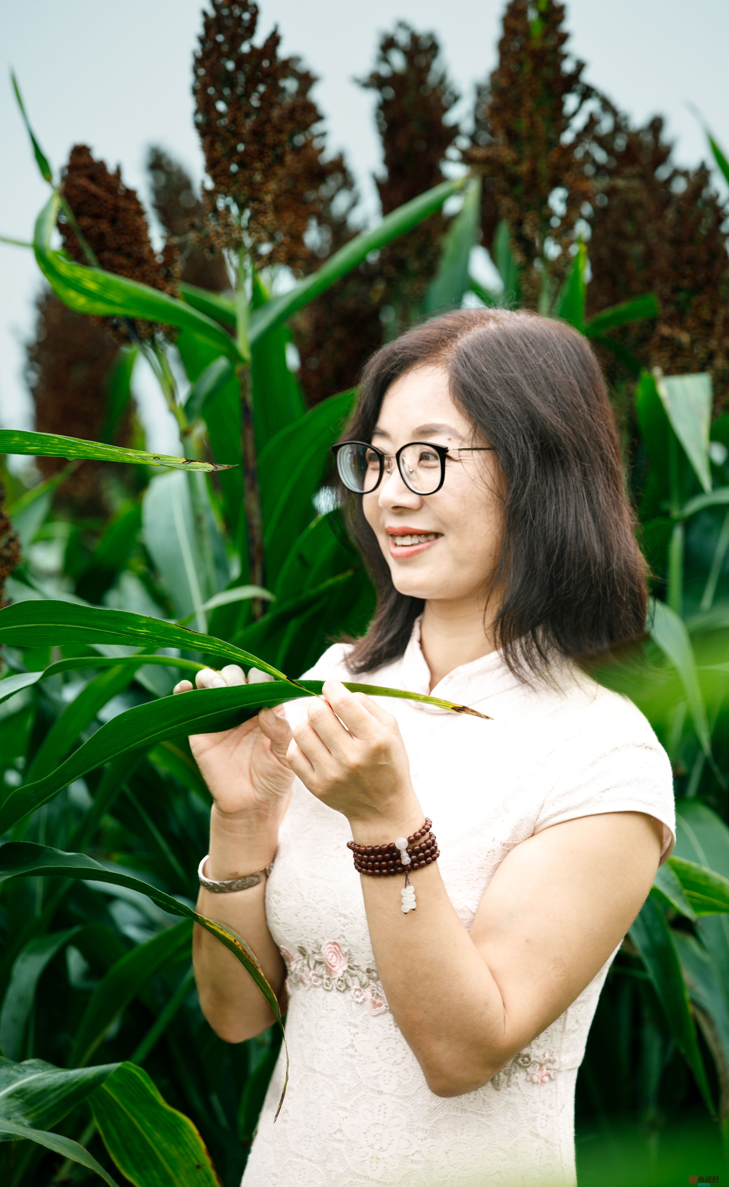 刘海峰_20250918201248_1232_463 (2).jpg