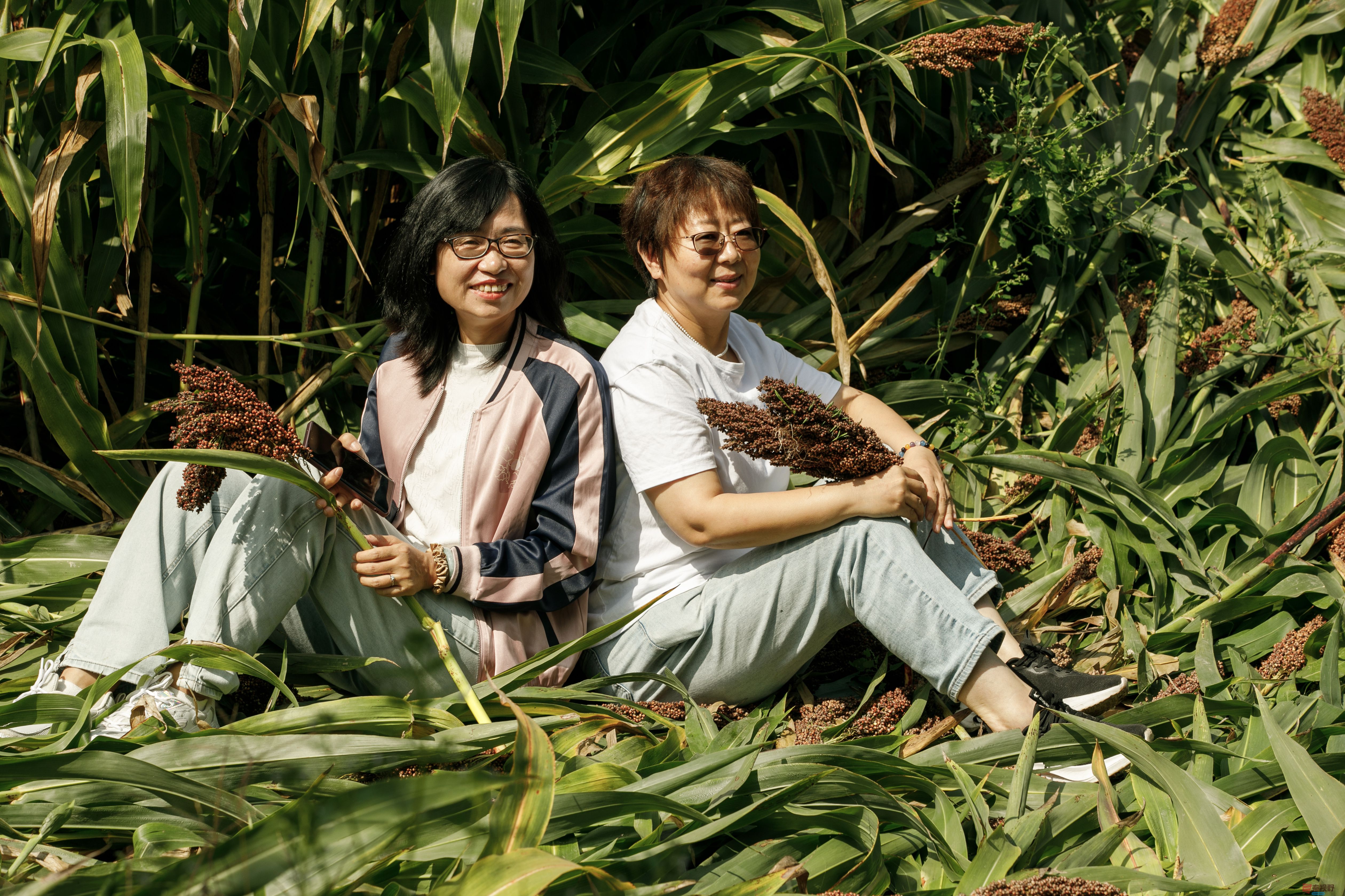 刘海峰_20250918201248_1232_463 (3).jpg