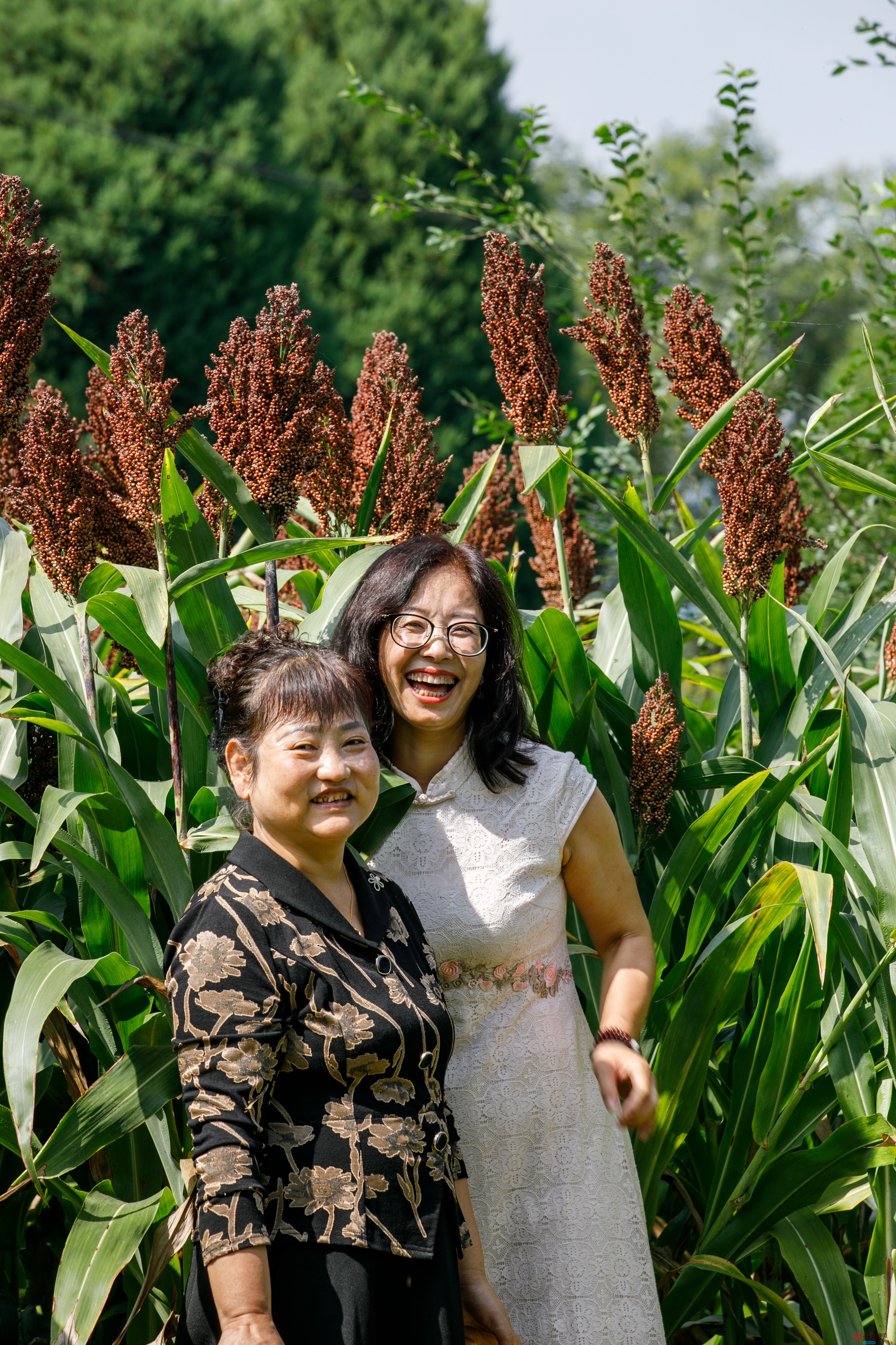 人像摄影【摄影刘海峰】