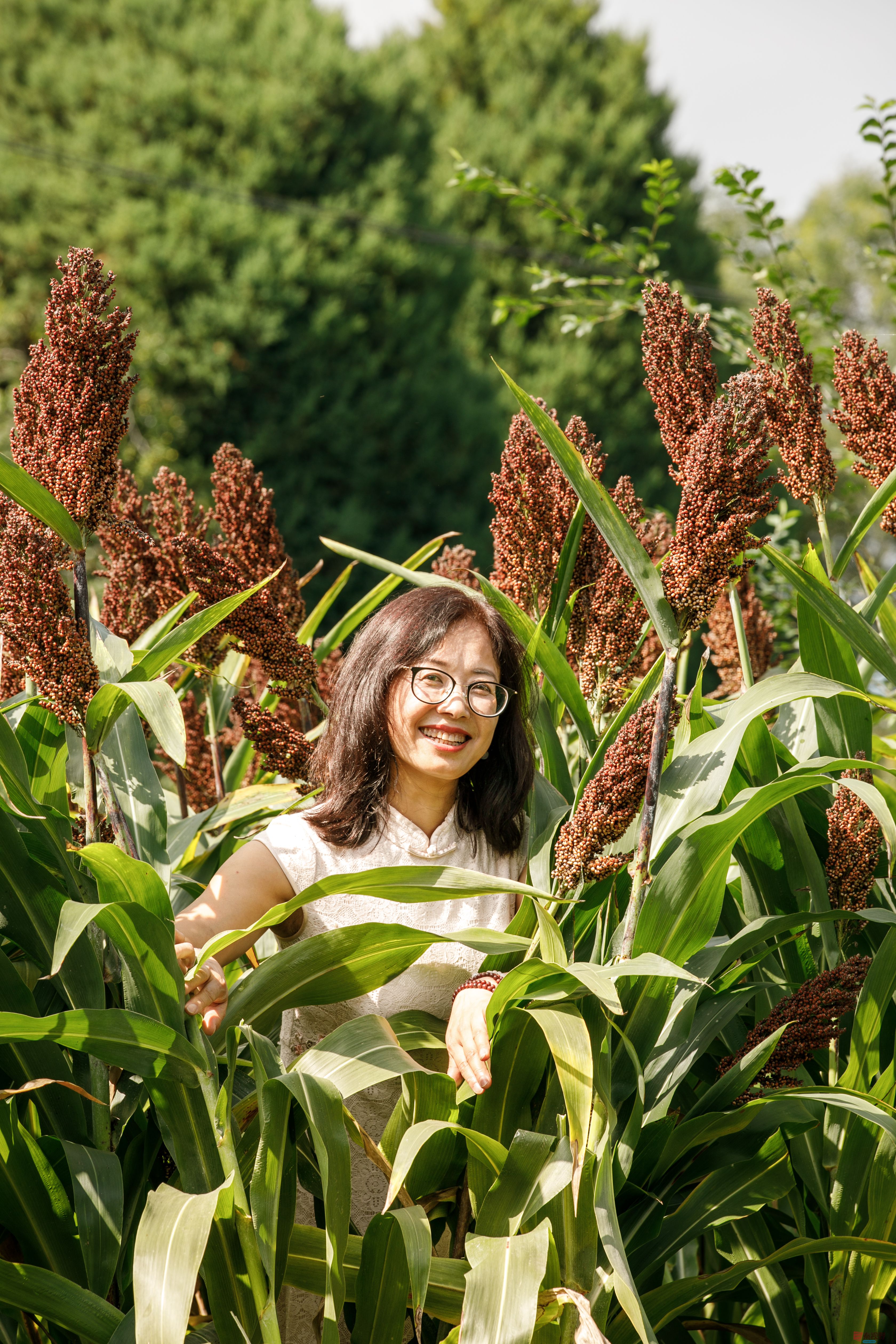 刘海峰_20250918201248_1232_463 (5).jpg