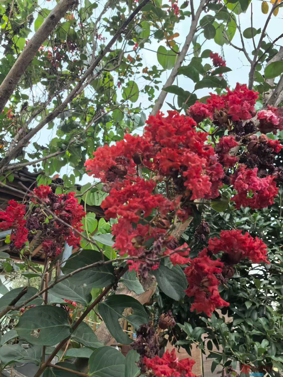 神鹰山庄的秋日【摄影王子文】