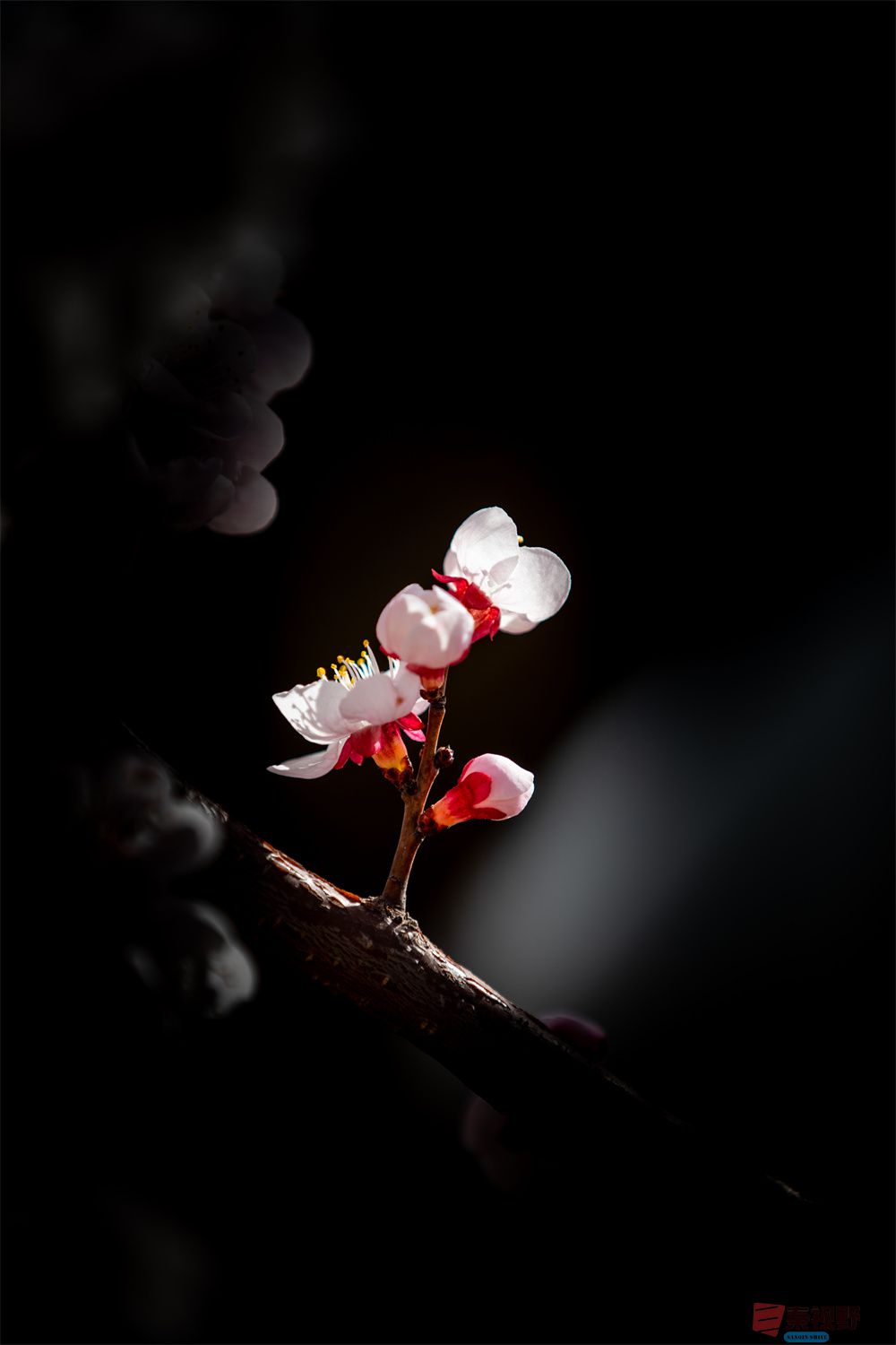 刘海峰压缩_20250921210927_1346_463 (1).jpg