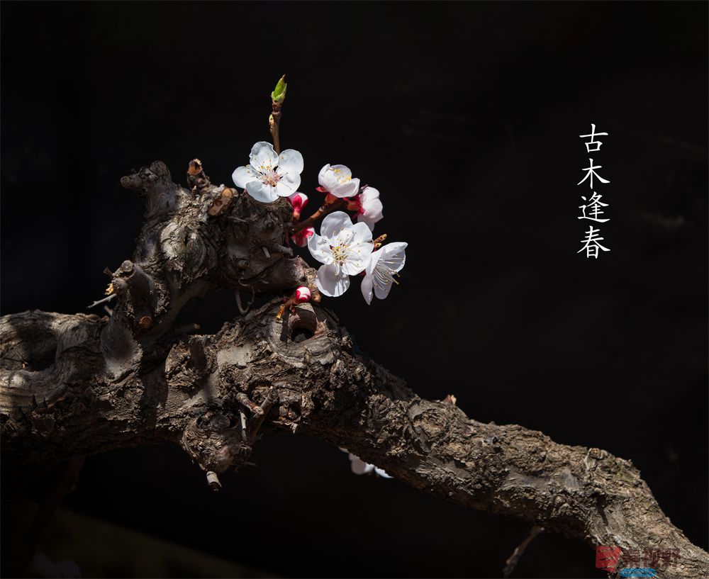 刘海峰压缩_20250921210927_1346_463 (2).jpg