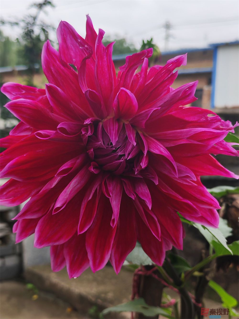 自拍压缩202509240101 (1).jpg