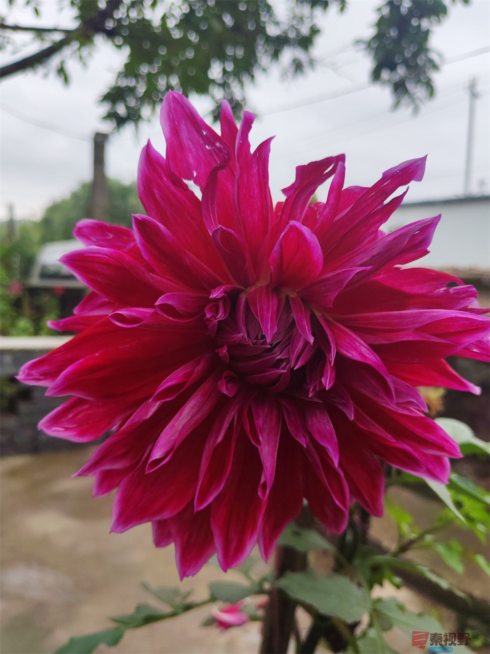 自拍压缩202509240101 (2).jpg