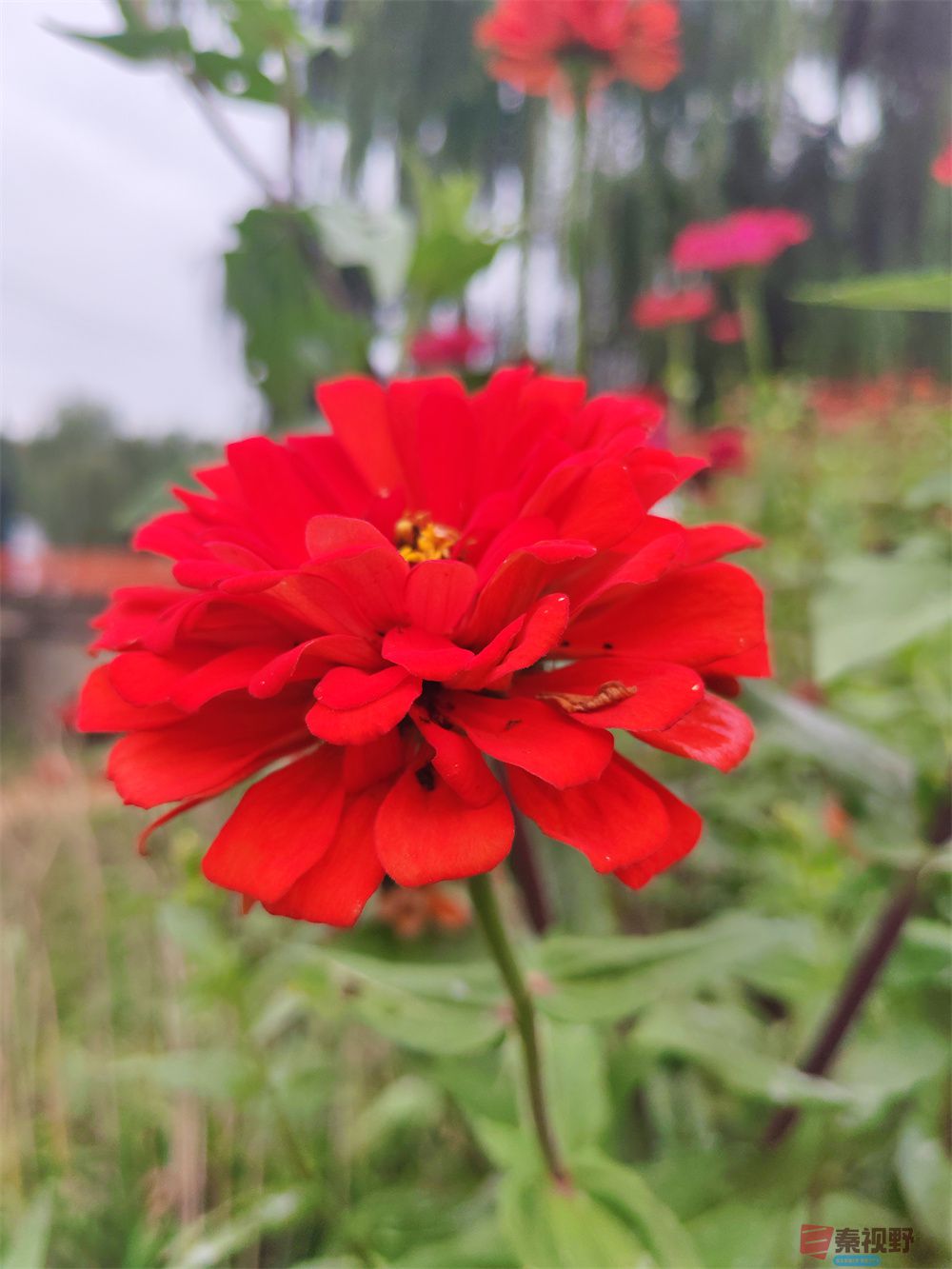 自拍压缩202509240101 (4).jpg