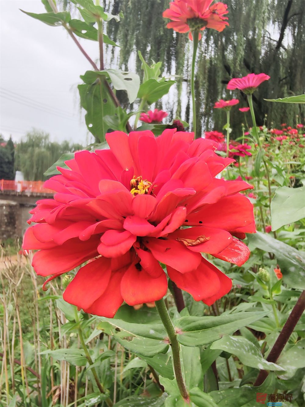 自拍压缩202509240101 (5).jpg