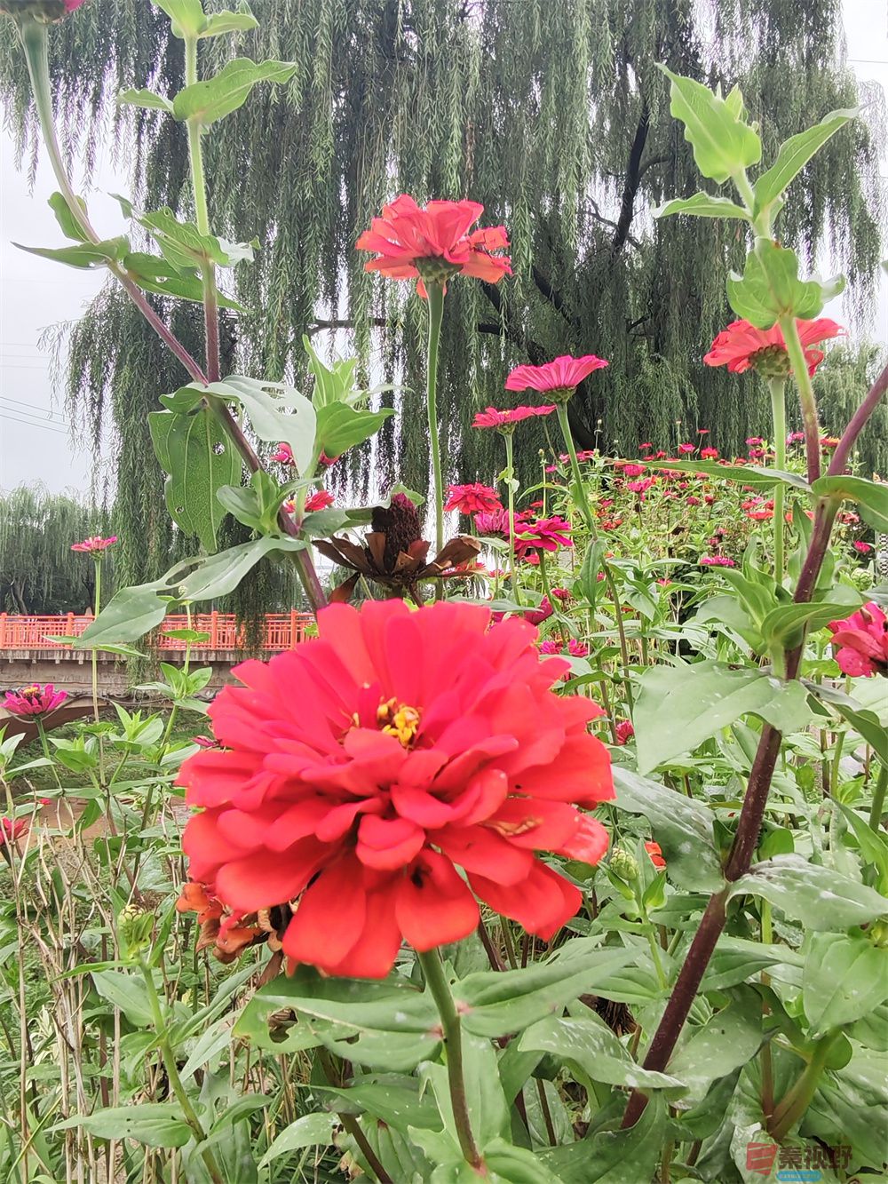 自拍压缩202509240101 (6).jpg