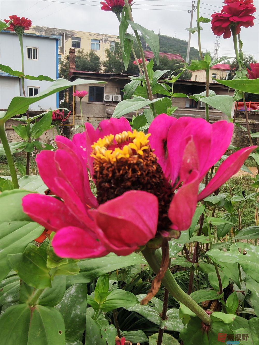 自拍压缩202509240101 (7).jpg