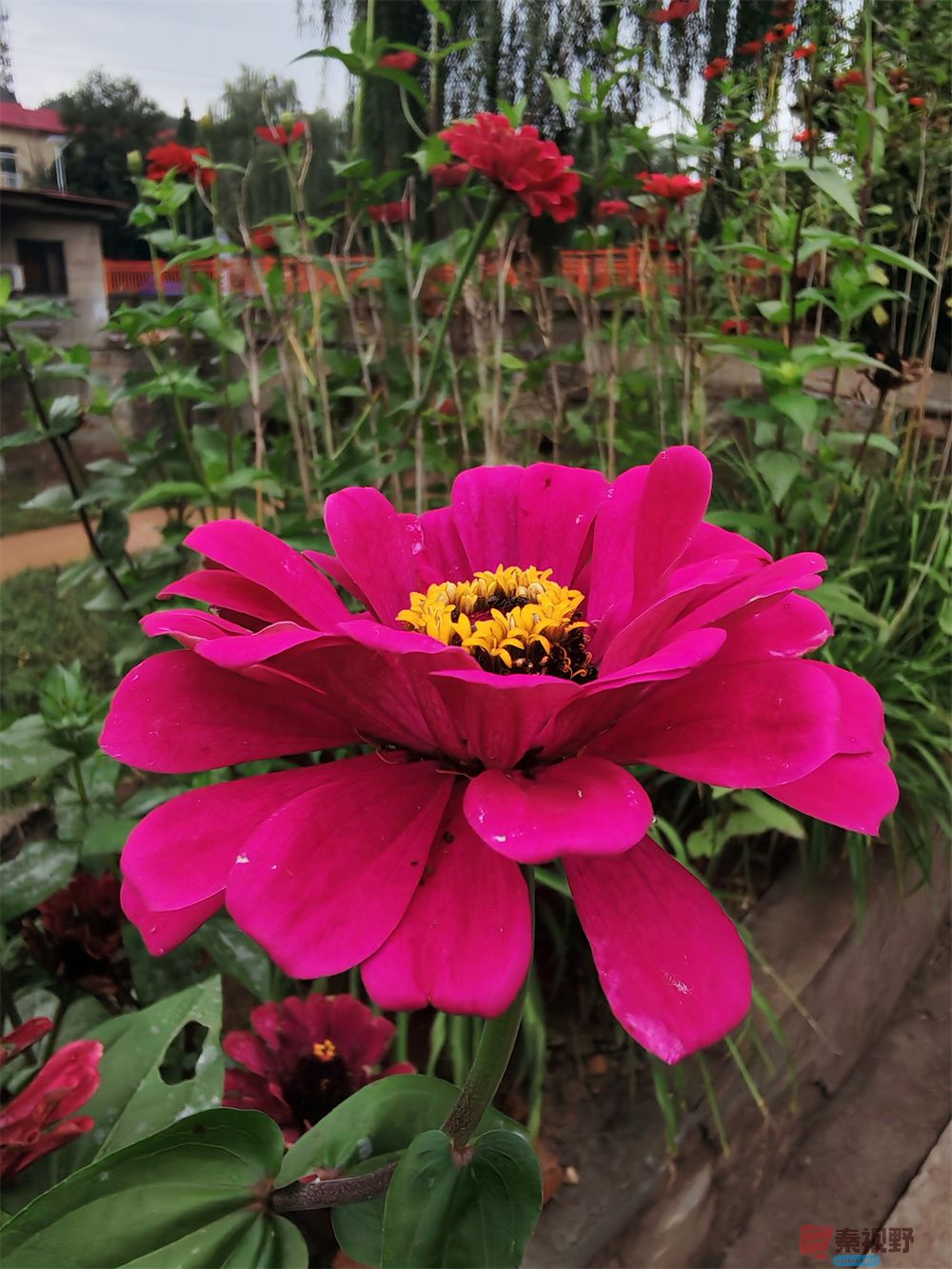 自拍压缩202509240101 (8).jpg