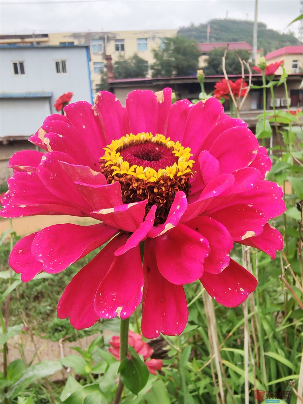 自拍压缩202509240101 (9).jpg