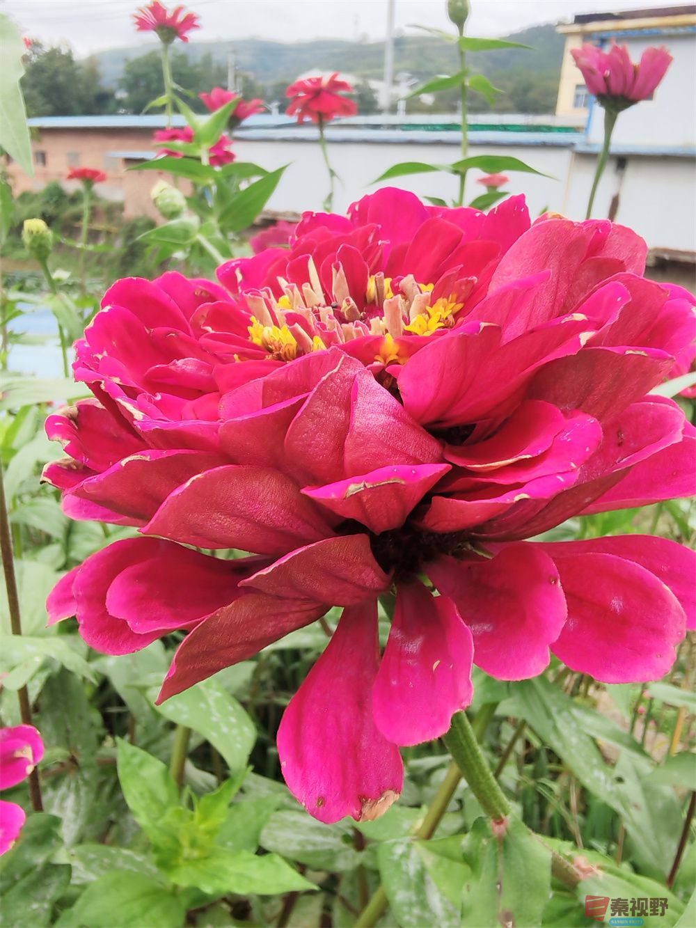 自拍压缩202509240101 (10).jpg