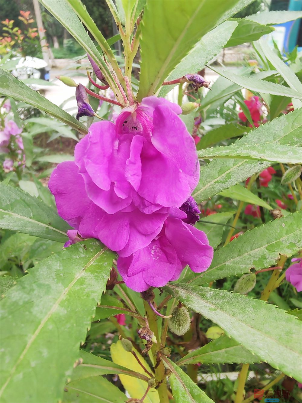 自拍压缩202509240101 (11).jpg