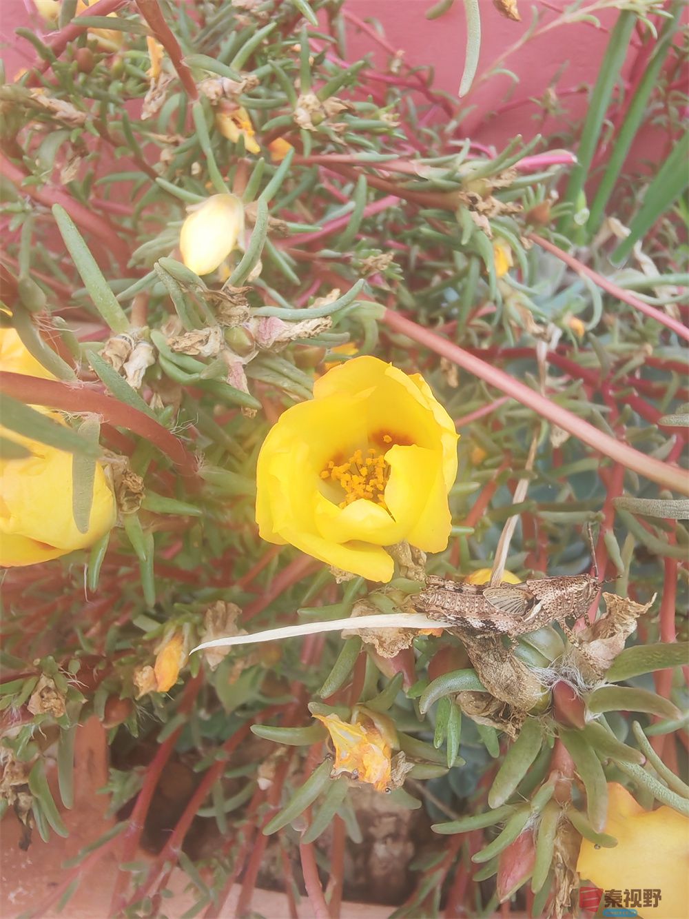 自拍压缩202509240101 (12).jpg