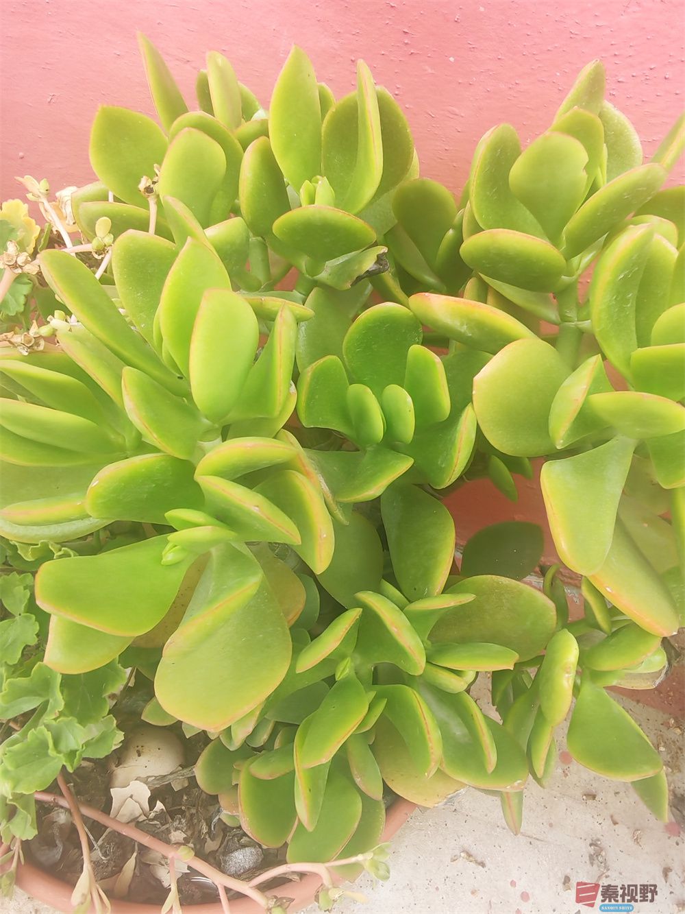 自拍压缩202509240101 (13).jpg