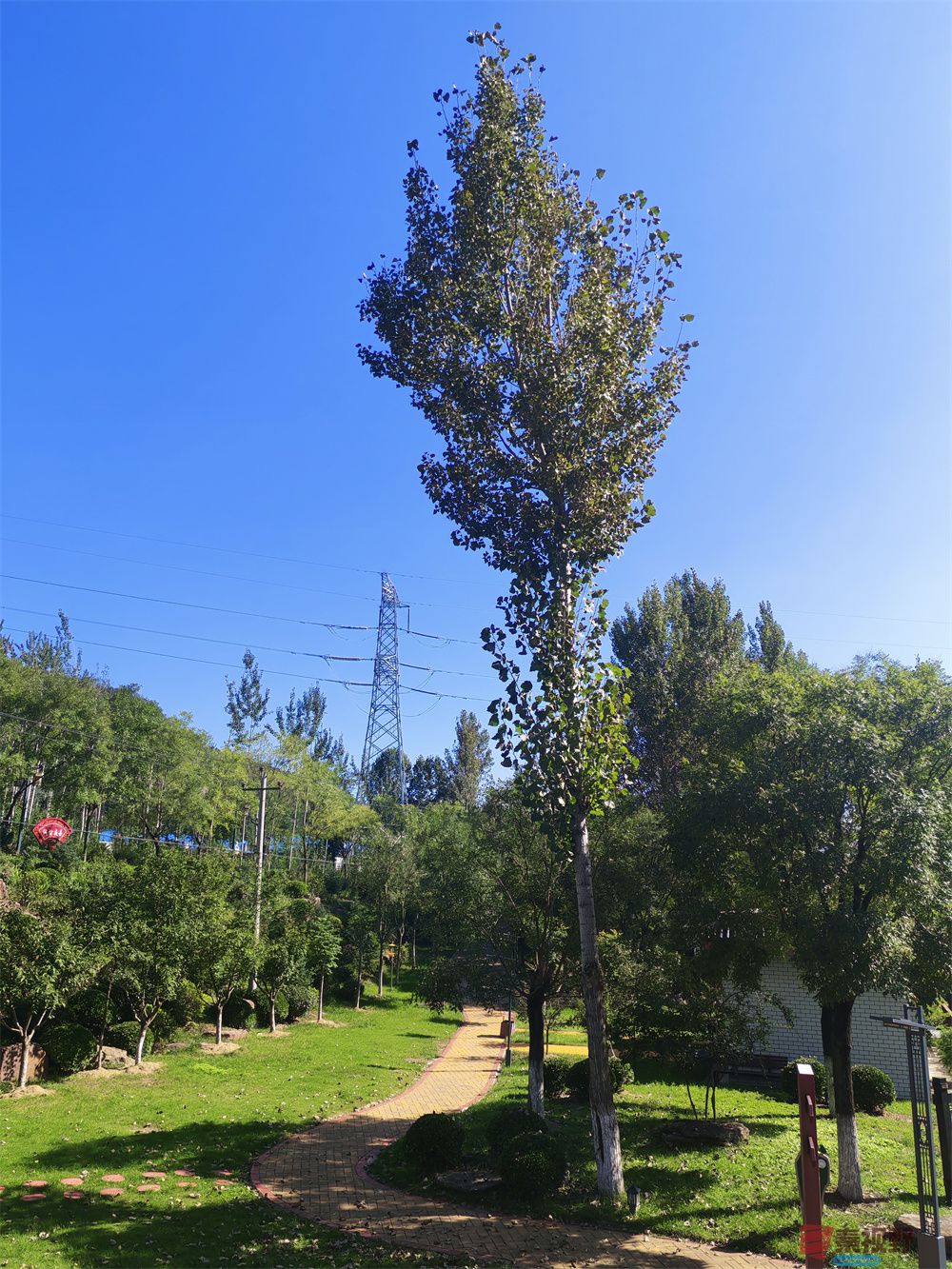 自拍压缩2025092401 (18).jpg