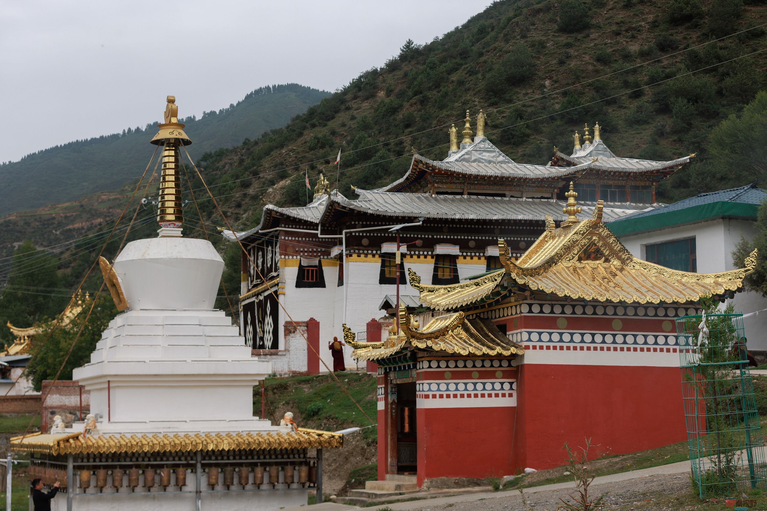 陈辉_20250923150639_1472_463 (1).jpg