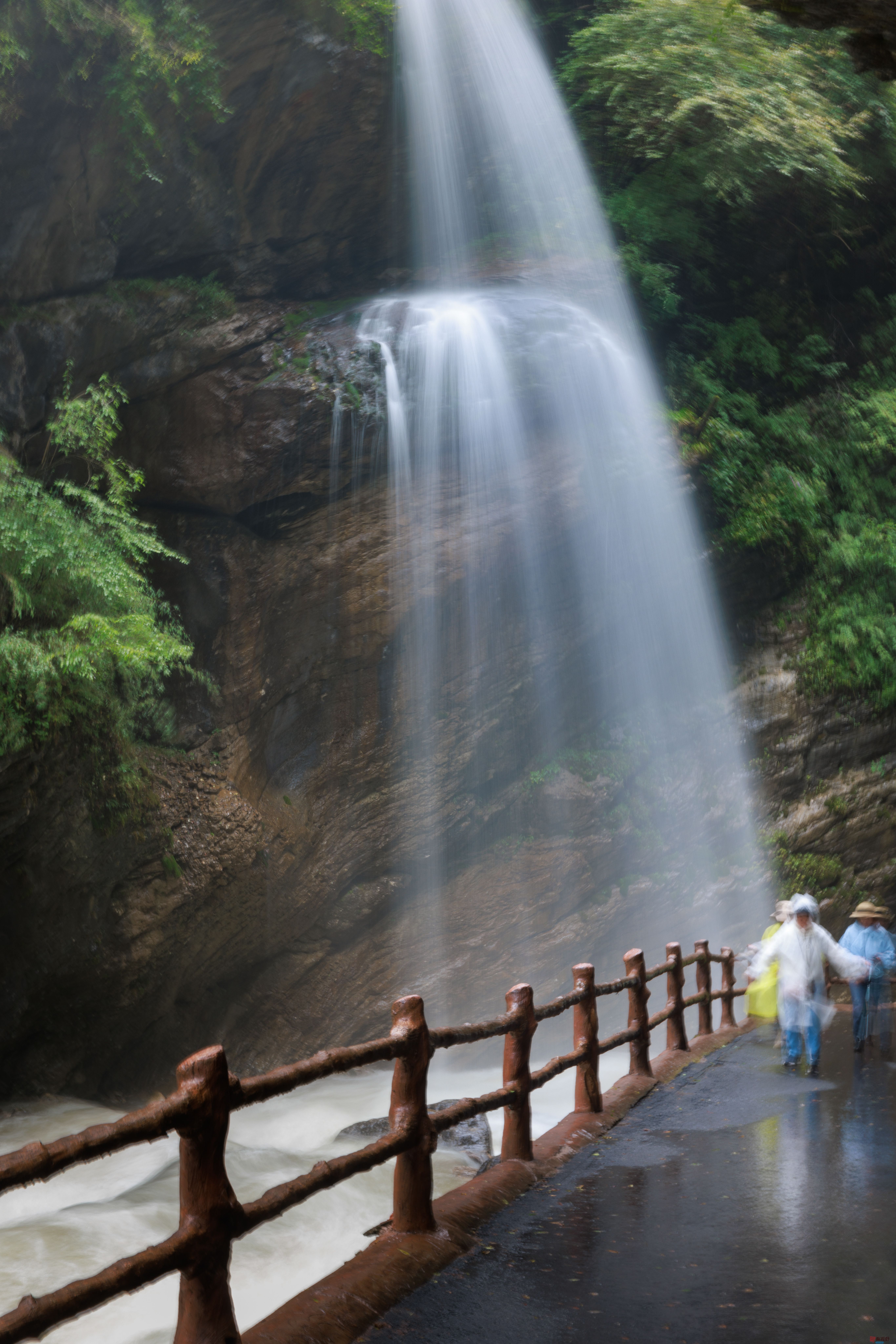 陈辉_20250923150639_1472_463 (2).jpg