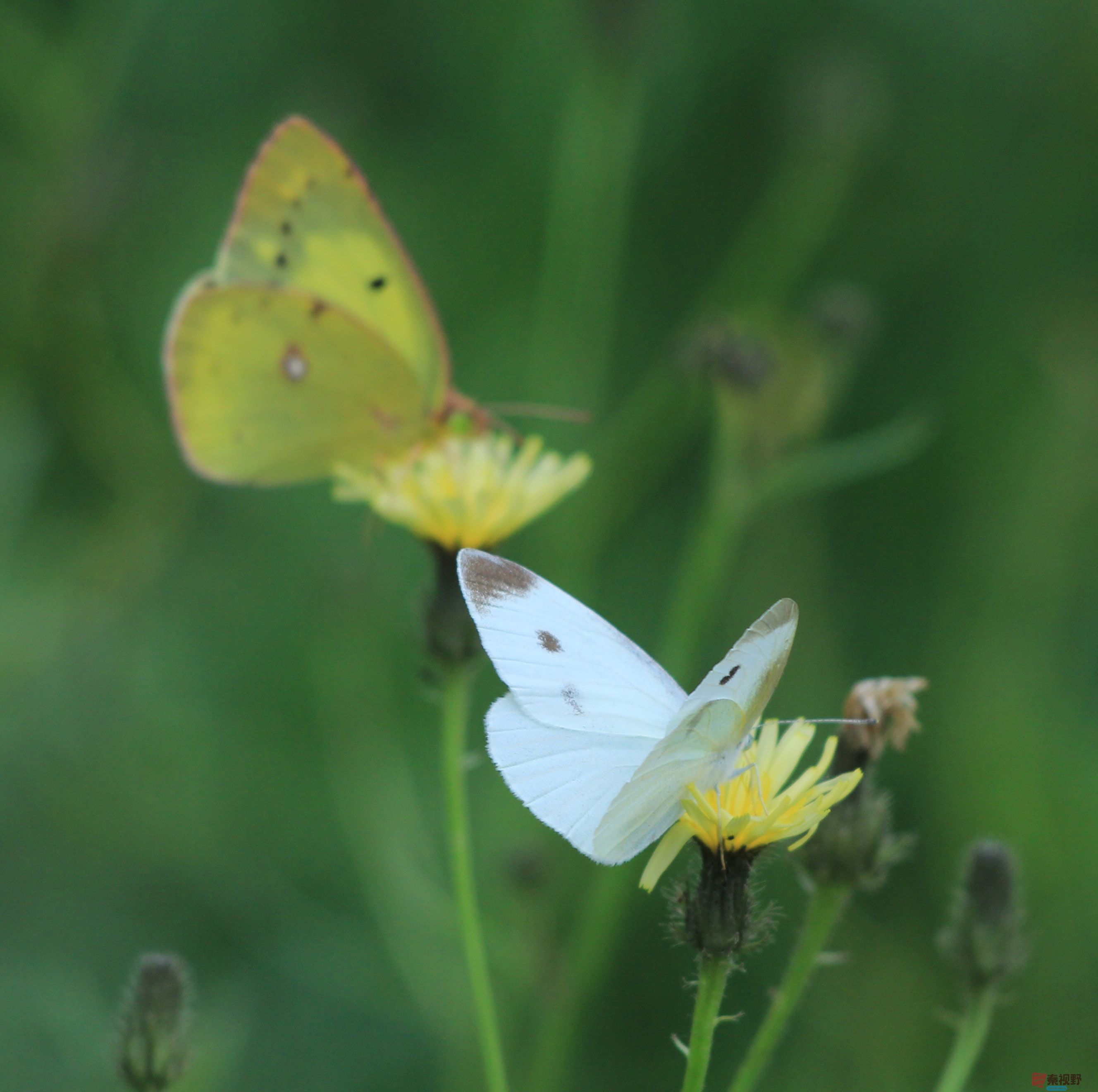 魏俊霞_20250926200655_25_790 (4).jpg