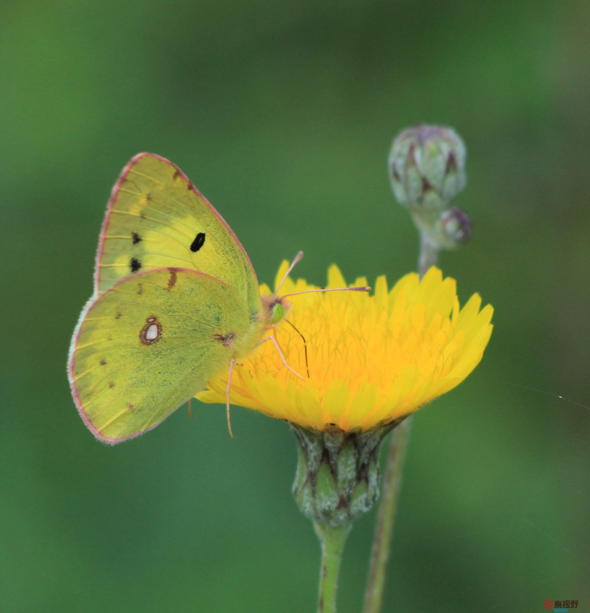 和谐大自然  铜川原生态【摄影魏俊霞】