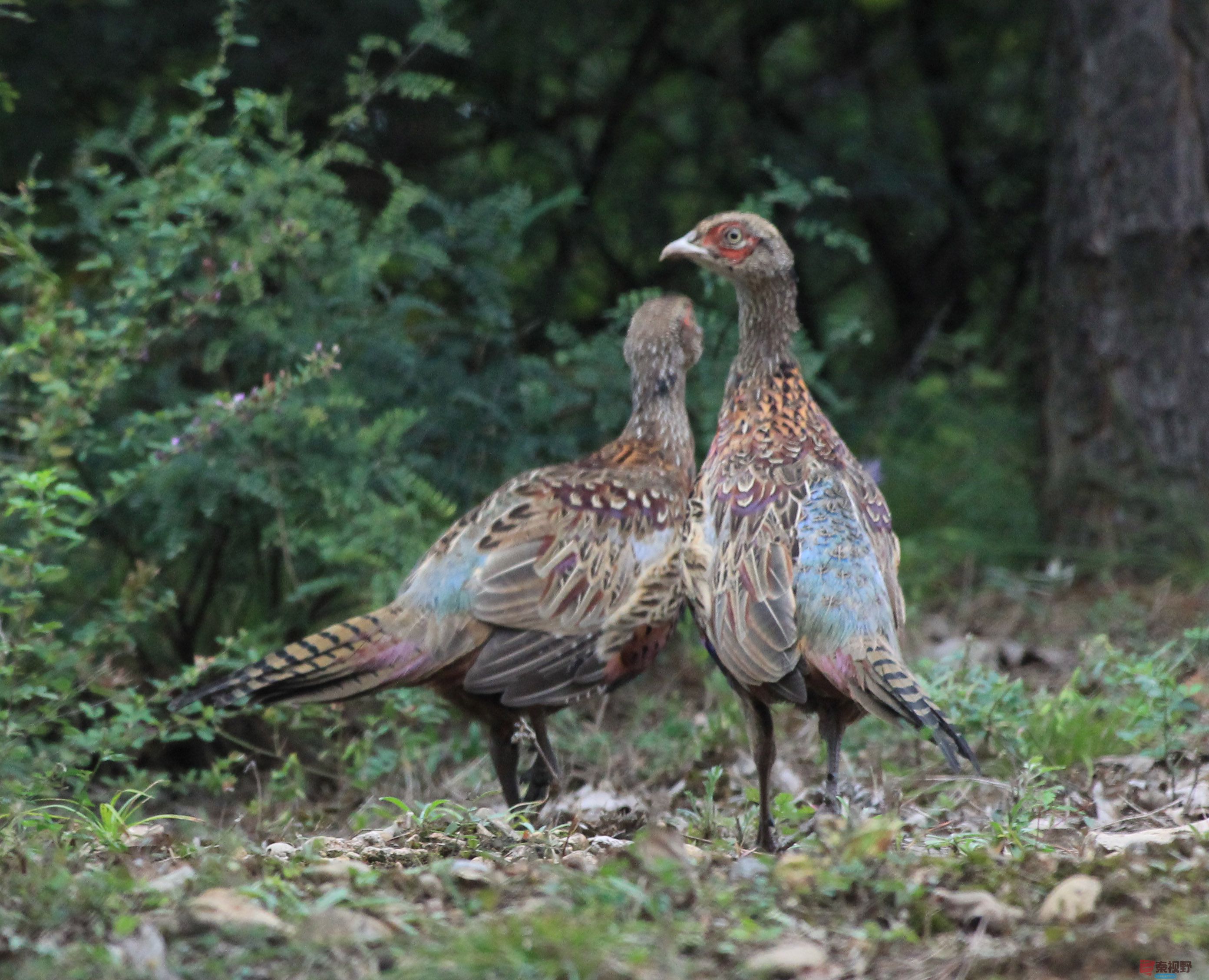 魏俊霞_20250926200655_25_790 (8).jpg