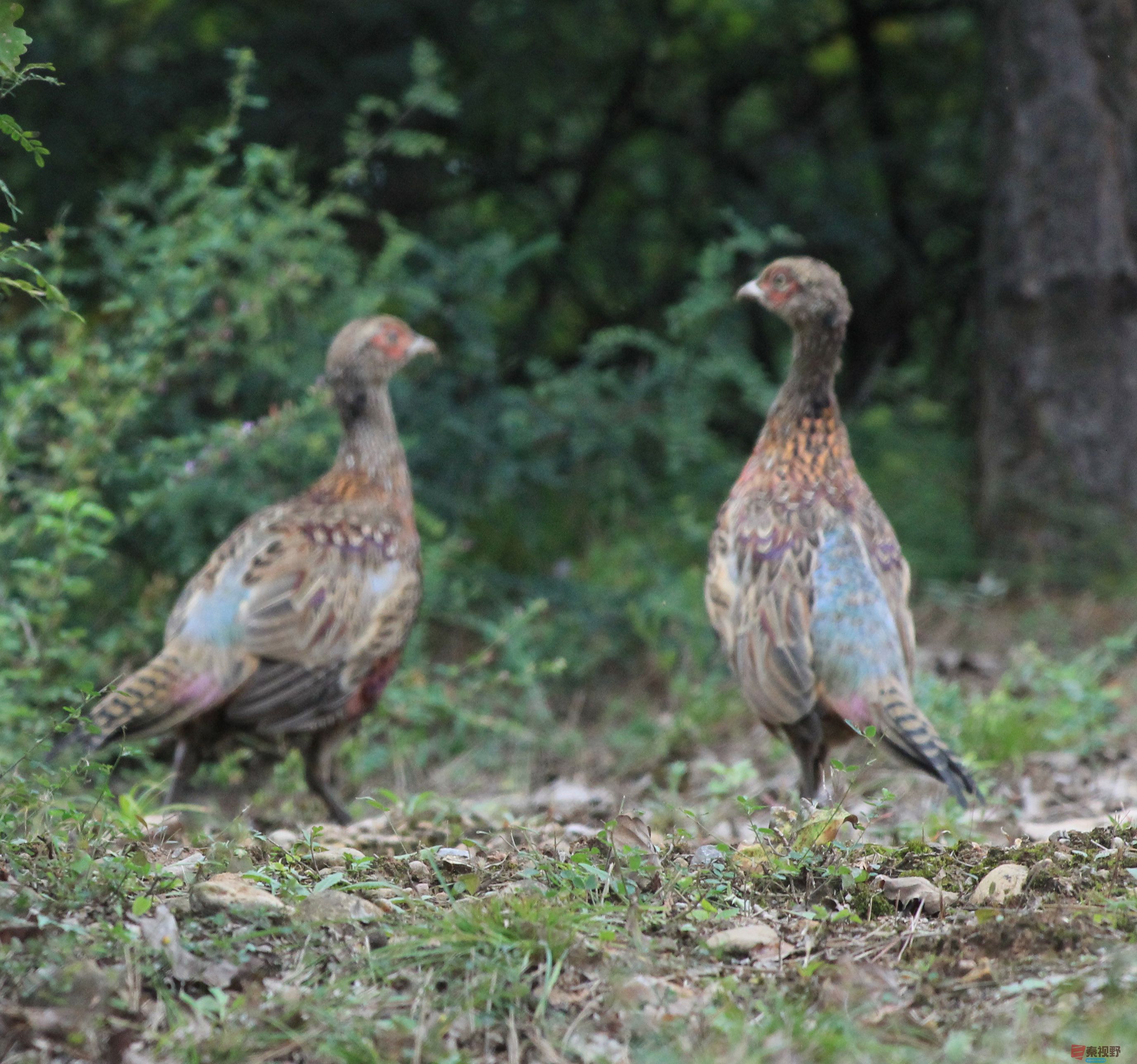 魏俊霞_20250926200655_25_790 (9).jpg