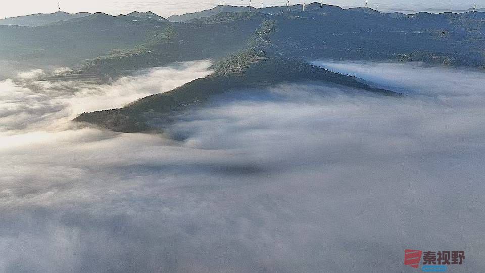 张宝光_2025-09-26_094039_584 (4).jpg