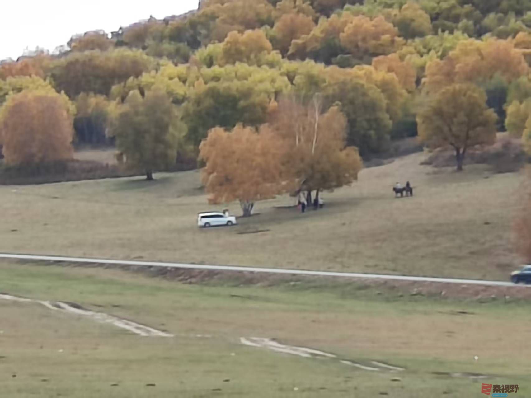 张宝光_20250926103450_1603_463 (2).jpg