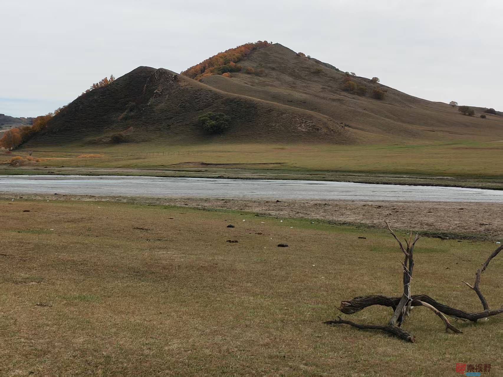 张宝光_20250926103450_1603_463 (1).jpg