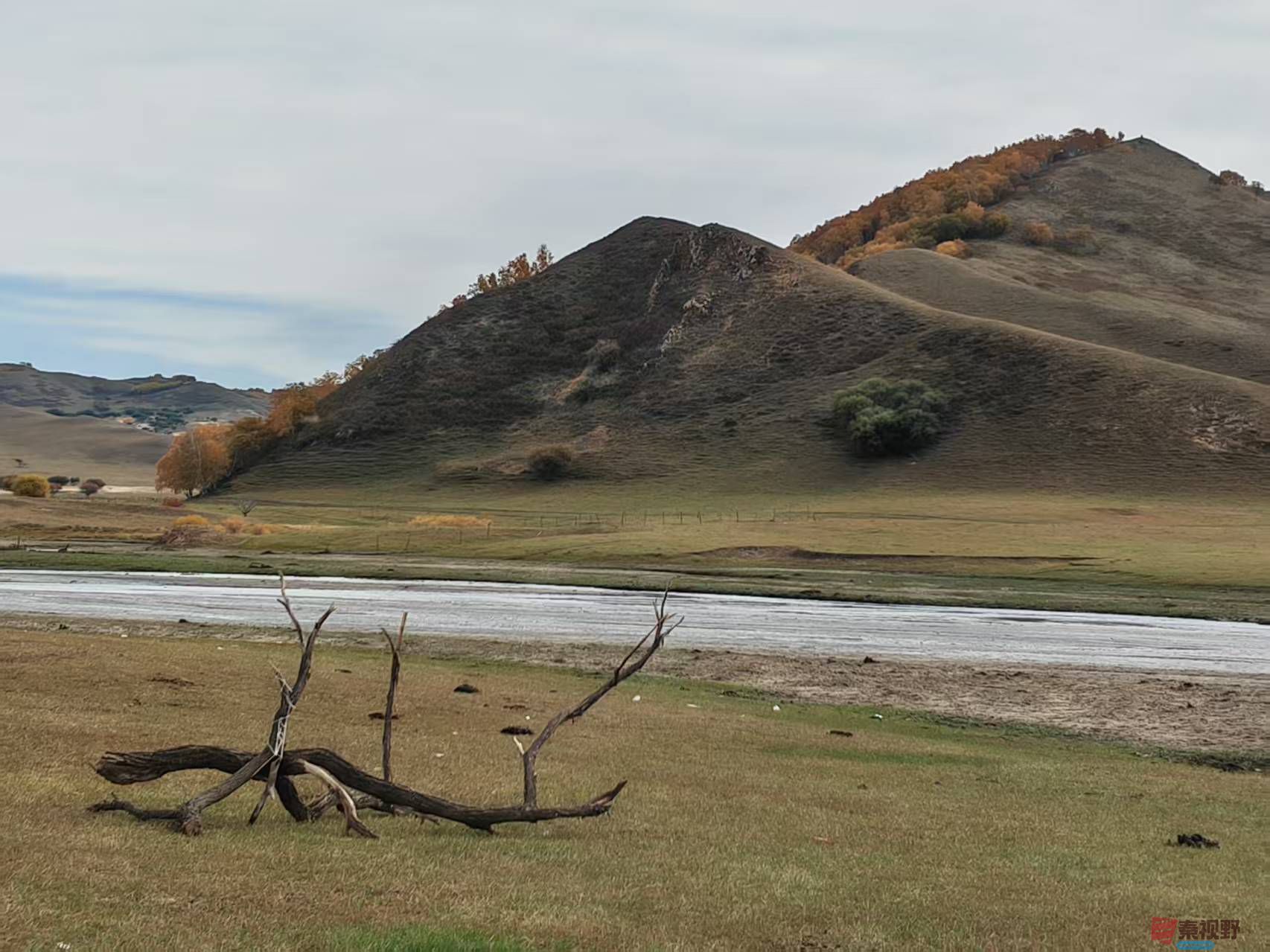 张宝光_20250926103450_1603_463 (5).jpg