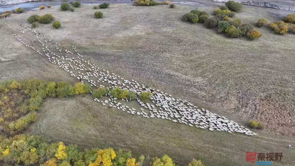 张宝光_20250927111011_1669_463 (1).jpg