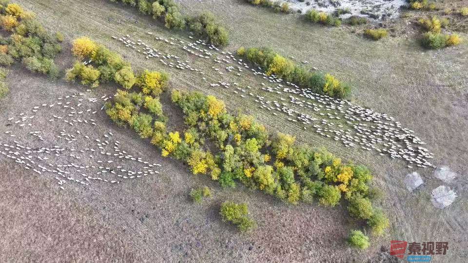 张宝光_20250927111011_1669_463 (3).jpg