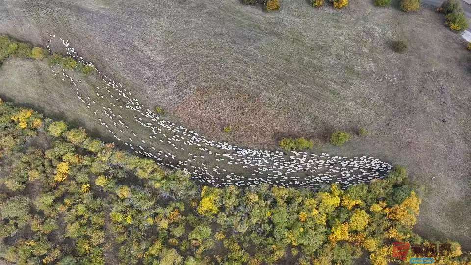 张宝光_20250927111011_1669_463 (2).jpg