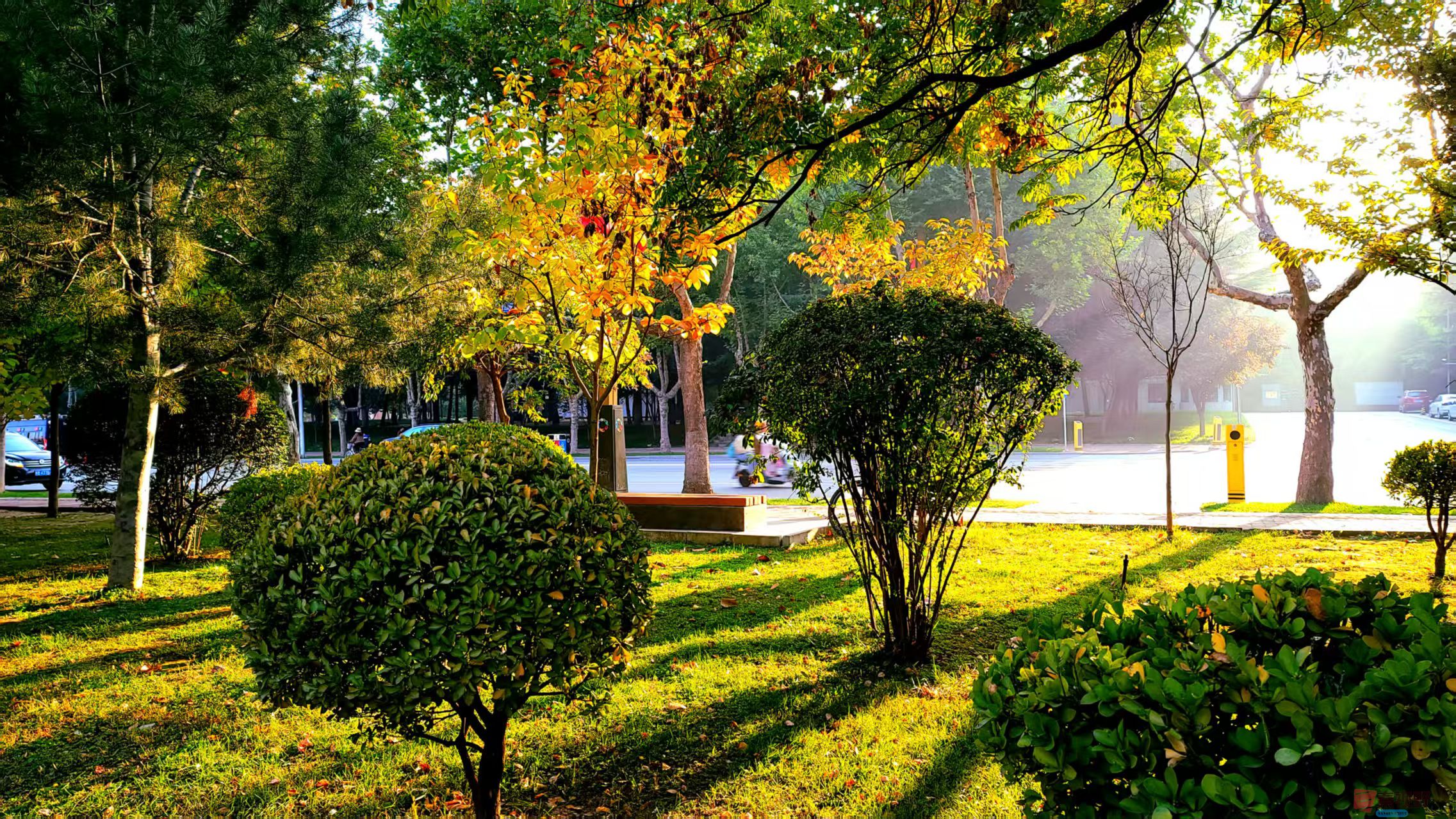 寇群利_20250926140006_1615_463 (1).jpg