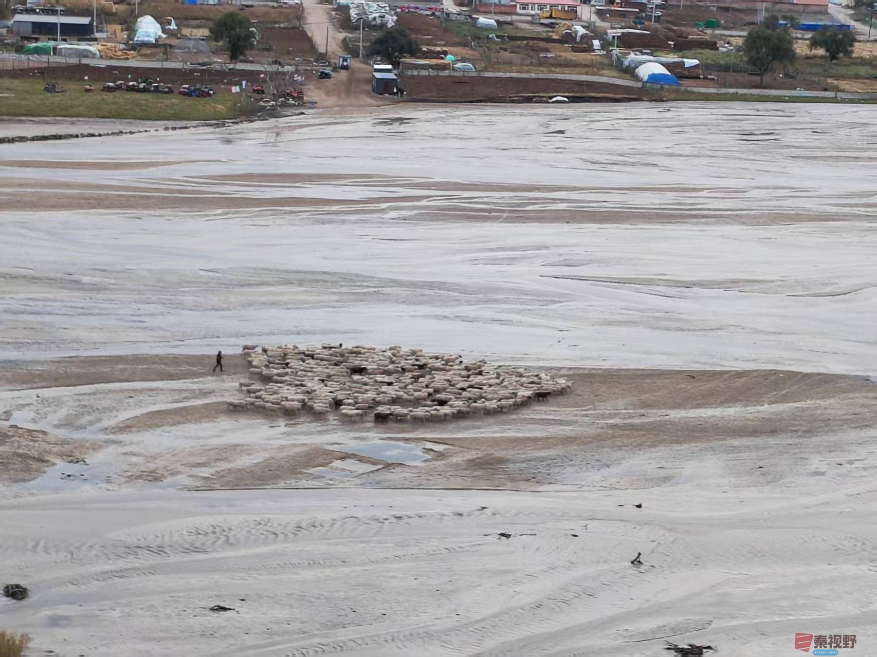 张宝光_20250927095304_1655_463 (1).jpg