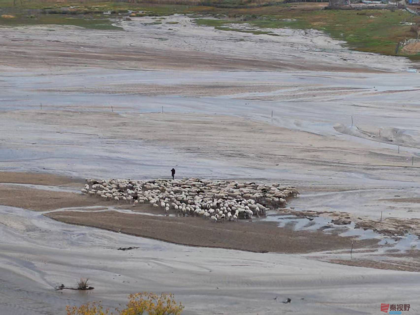 张宝光_20250927095304_1655_463 (3).jpg