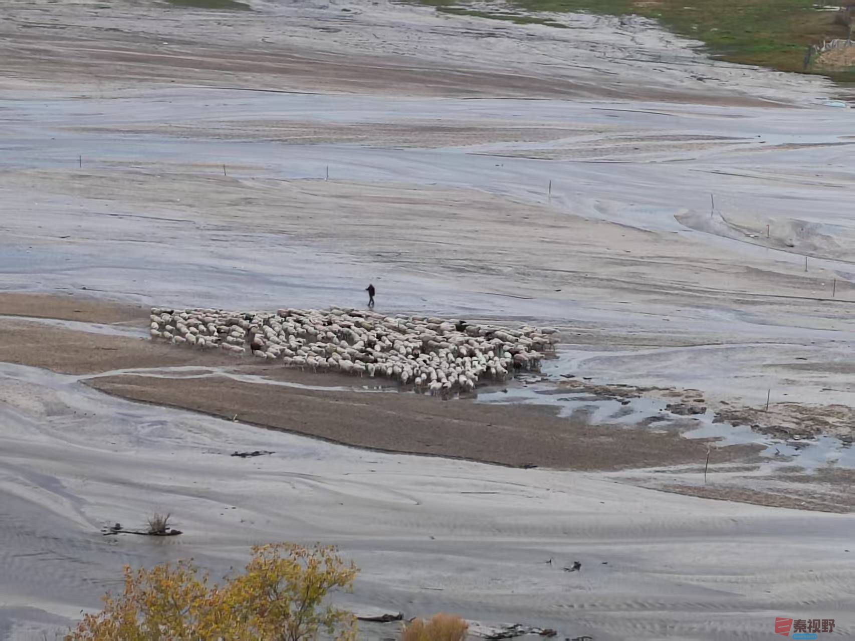 张宝光_20250927095304_1655_463 (4).jpg