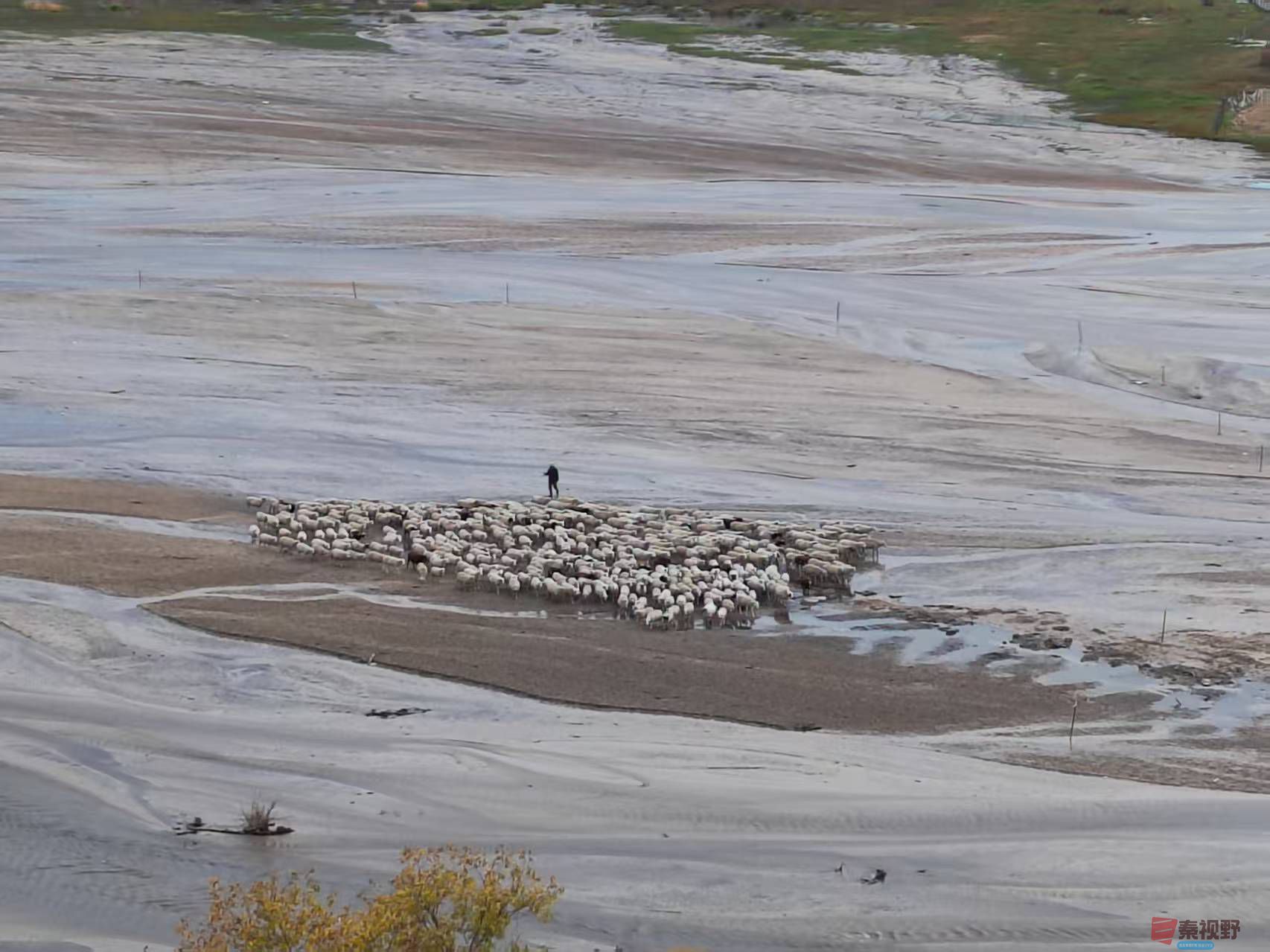 张宝光_20250927095304_1655_463 (5).jpg