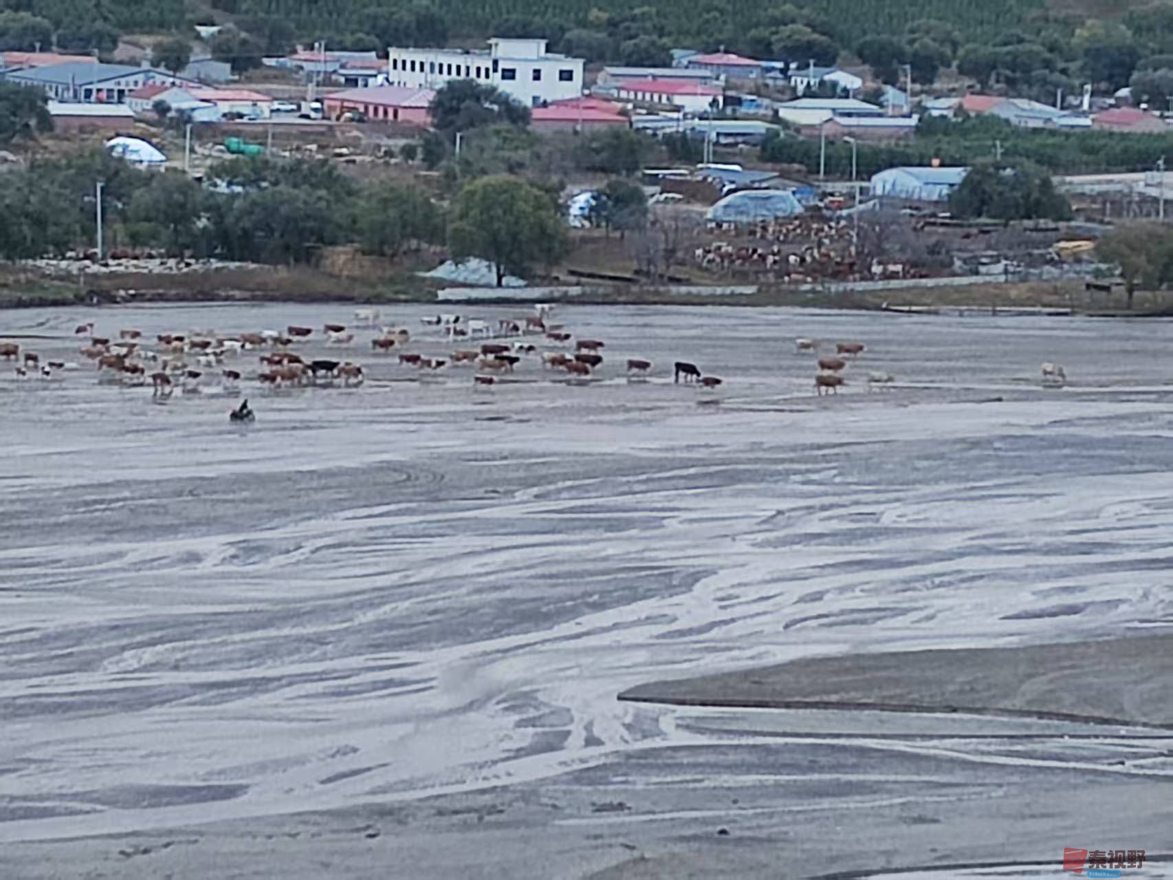 张宝光_20250927095304_1655_463 (7).jpg