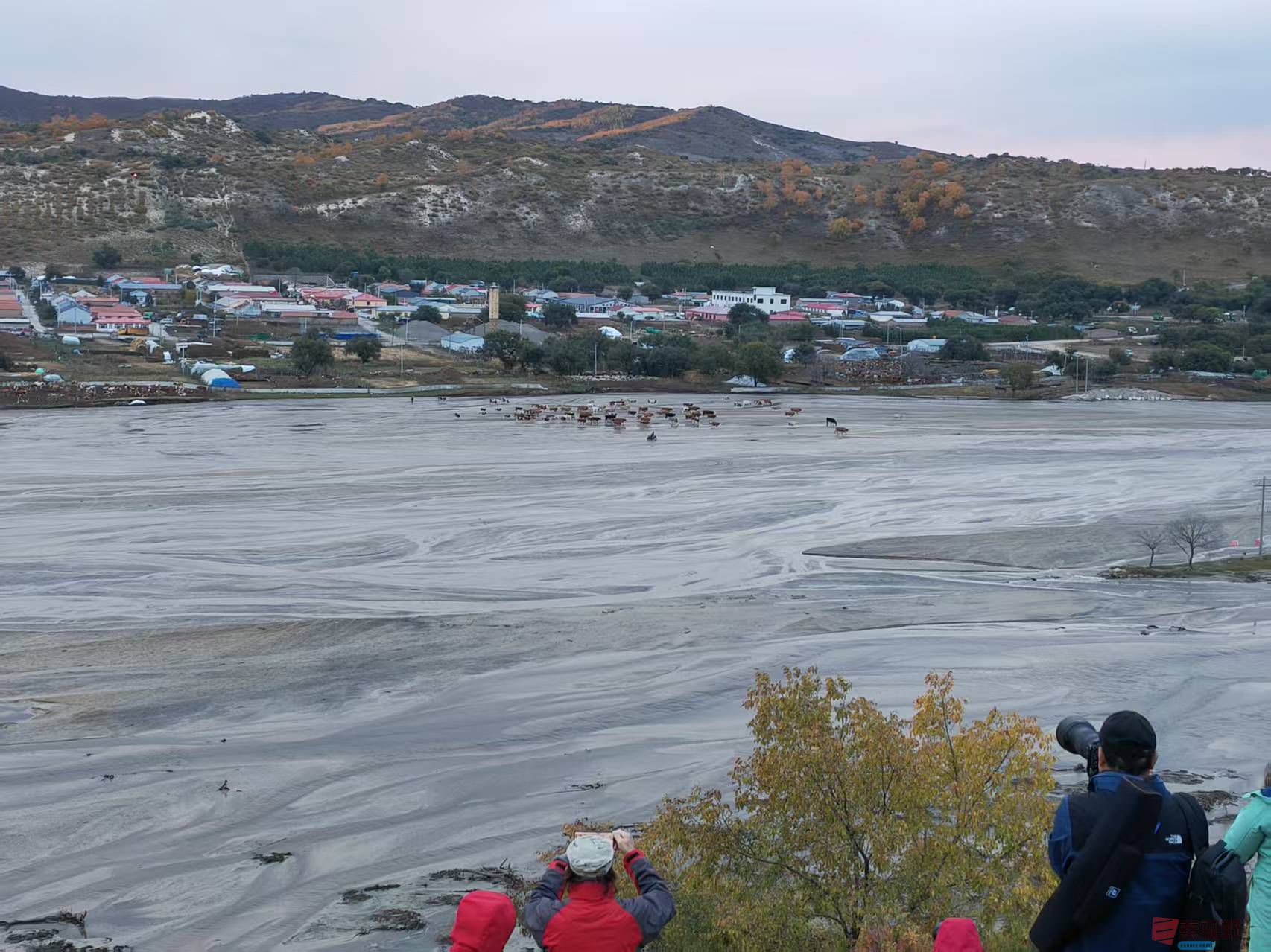 张宝光_20250927095304_1655_463 (9).jpg