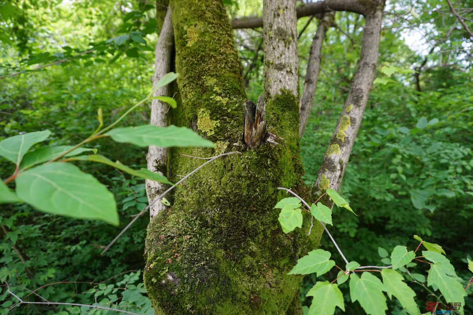 孙宏伟_2025-09-28_091840_665 (6).jpg