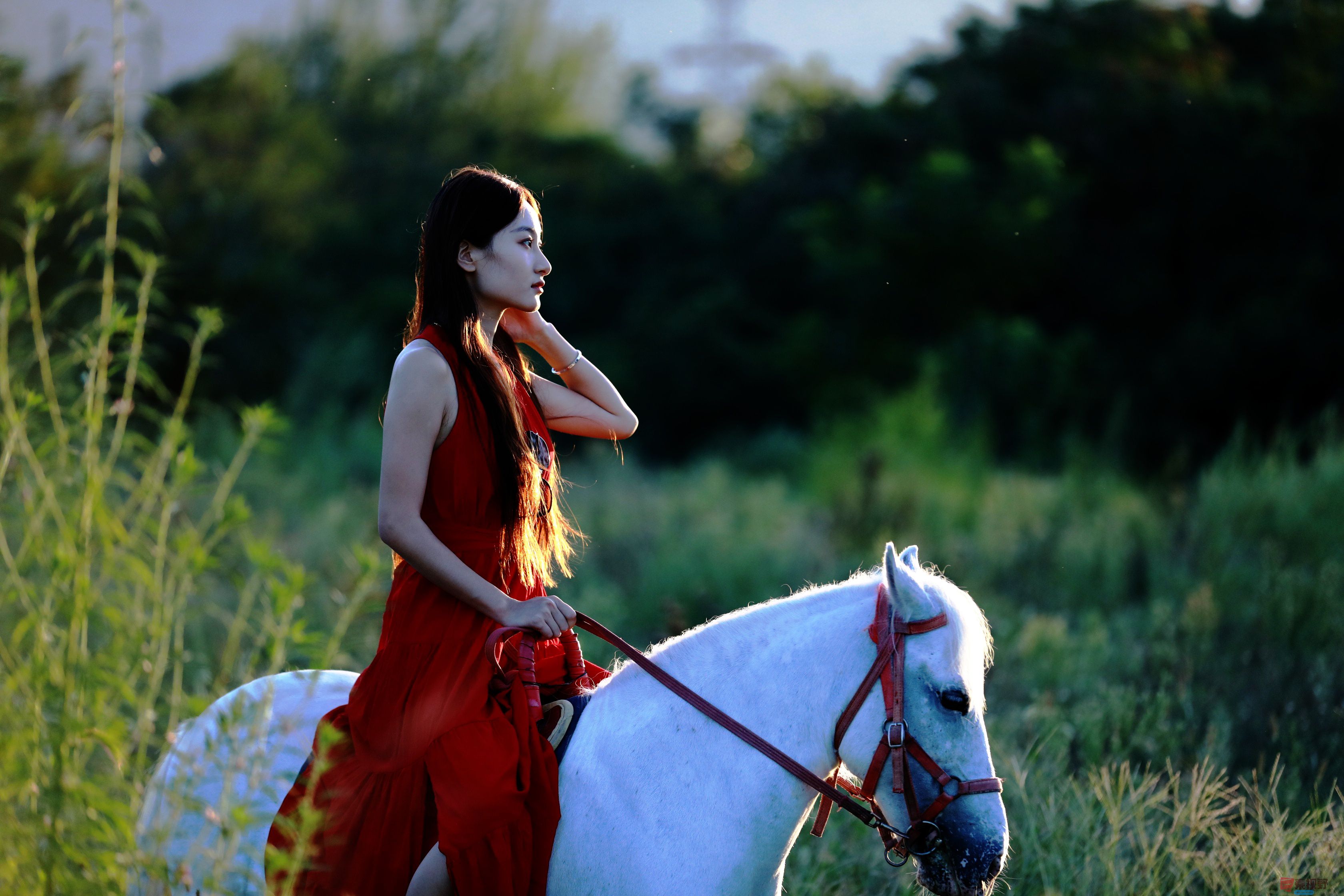 刘胜军_20250928092429_2_634 (7).jpg